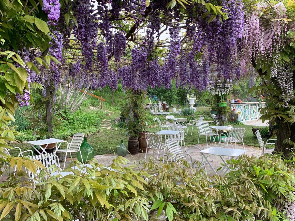 Bed and Breakfast R&B Mulino Marsa Кастелль'Арквато Екстер'єр фото